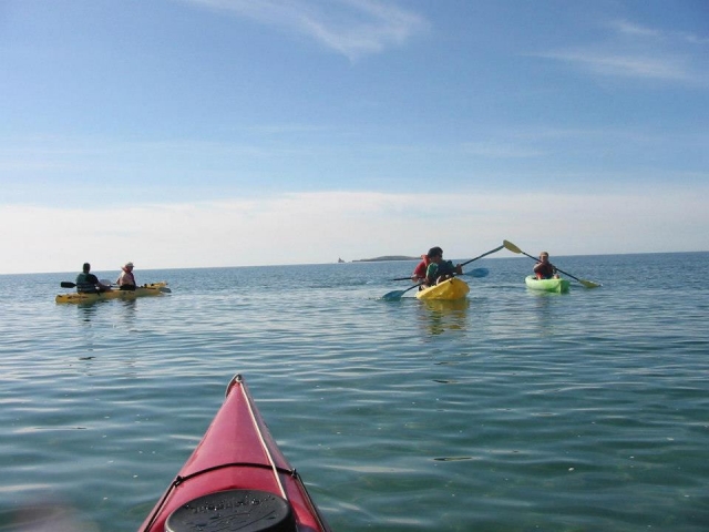 Remando en el estuario